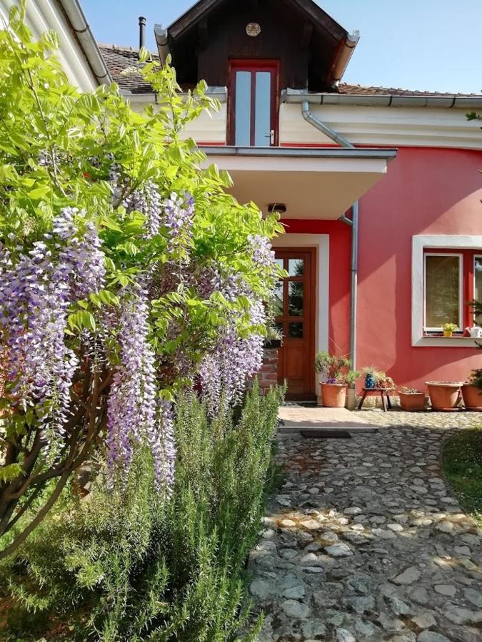Villa Holiday Home Kuca Za Odmor Slavonka Kaptol 外观 照片